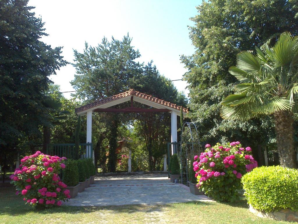 Archontiko Driani Apartment Paralia Panteleimonos Exterior photo